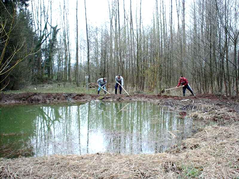 Waldwiese 03.04.03 B