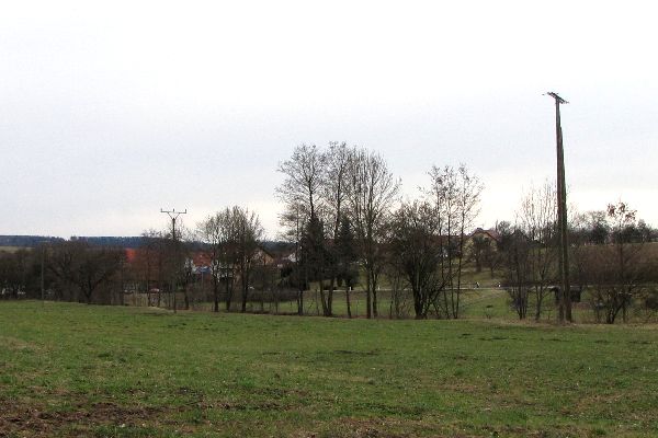Storch 3