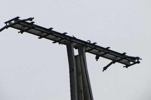 Storch 4