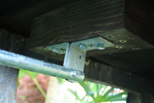 Storch 10