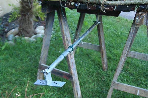 Storch 12