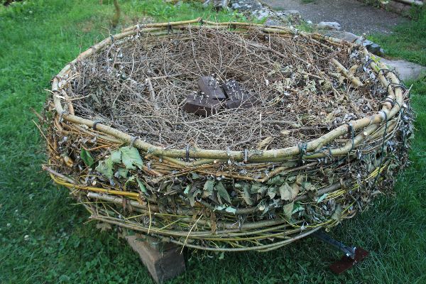 Storch 14