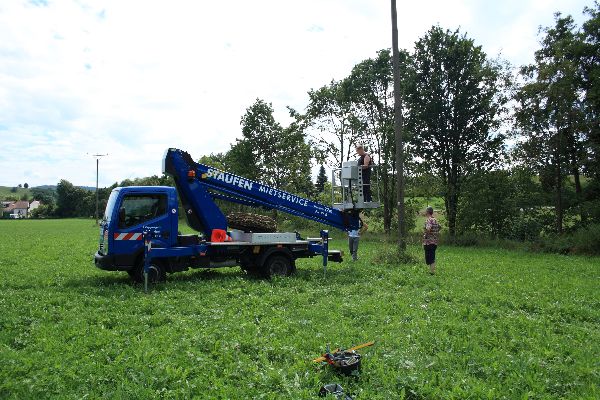 Storch 15
