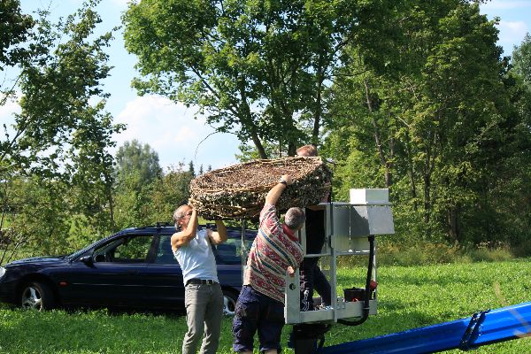 Storch 19
