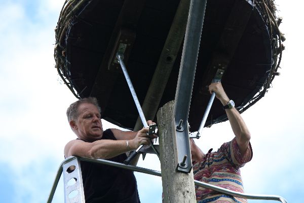 Storch 29