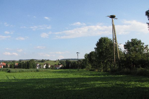 Storch 41