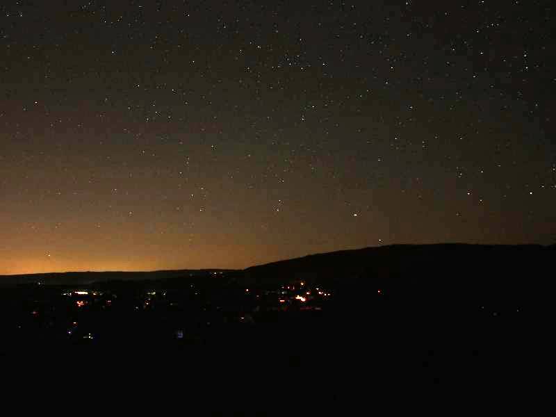 Auenwald bei Nacht 2