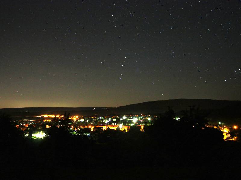 Auenwald bei Nacht