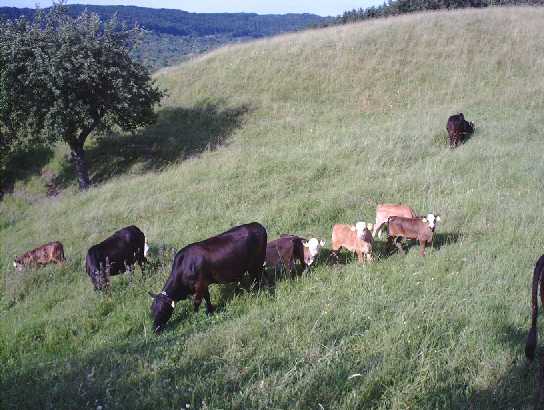 Vor Baubeginn
