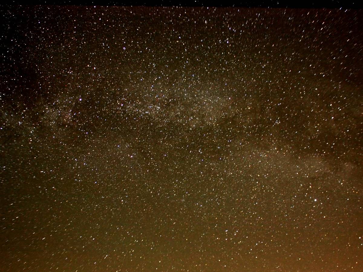 Cygnus