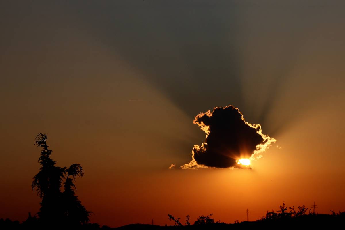Wolke 4.8.09