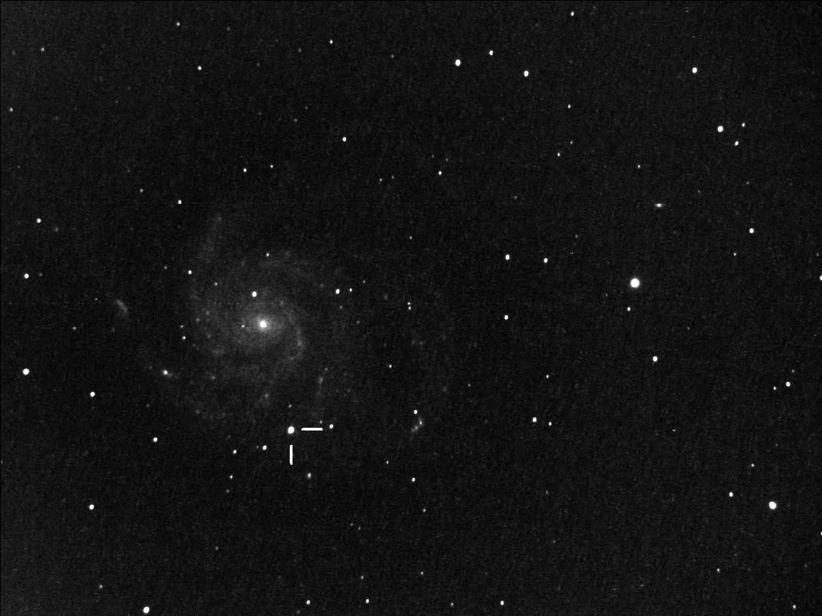 SN in M 101 (01.09.11)