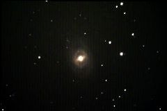 M95