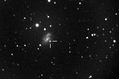 NGC 5584