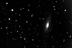 NGC 7331