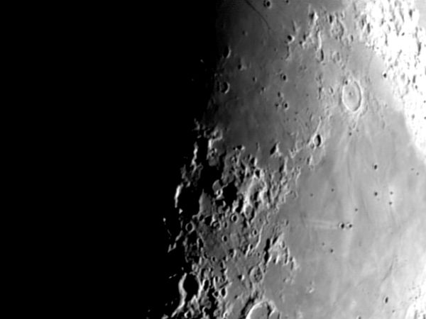 Taruntius
