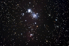 NGC 2264