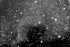 NGC 7000 (Nordamerika)