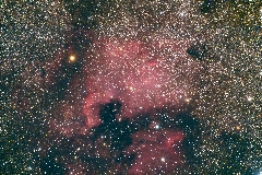 NGC 7000