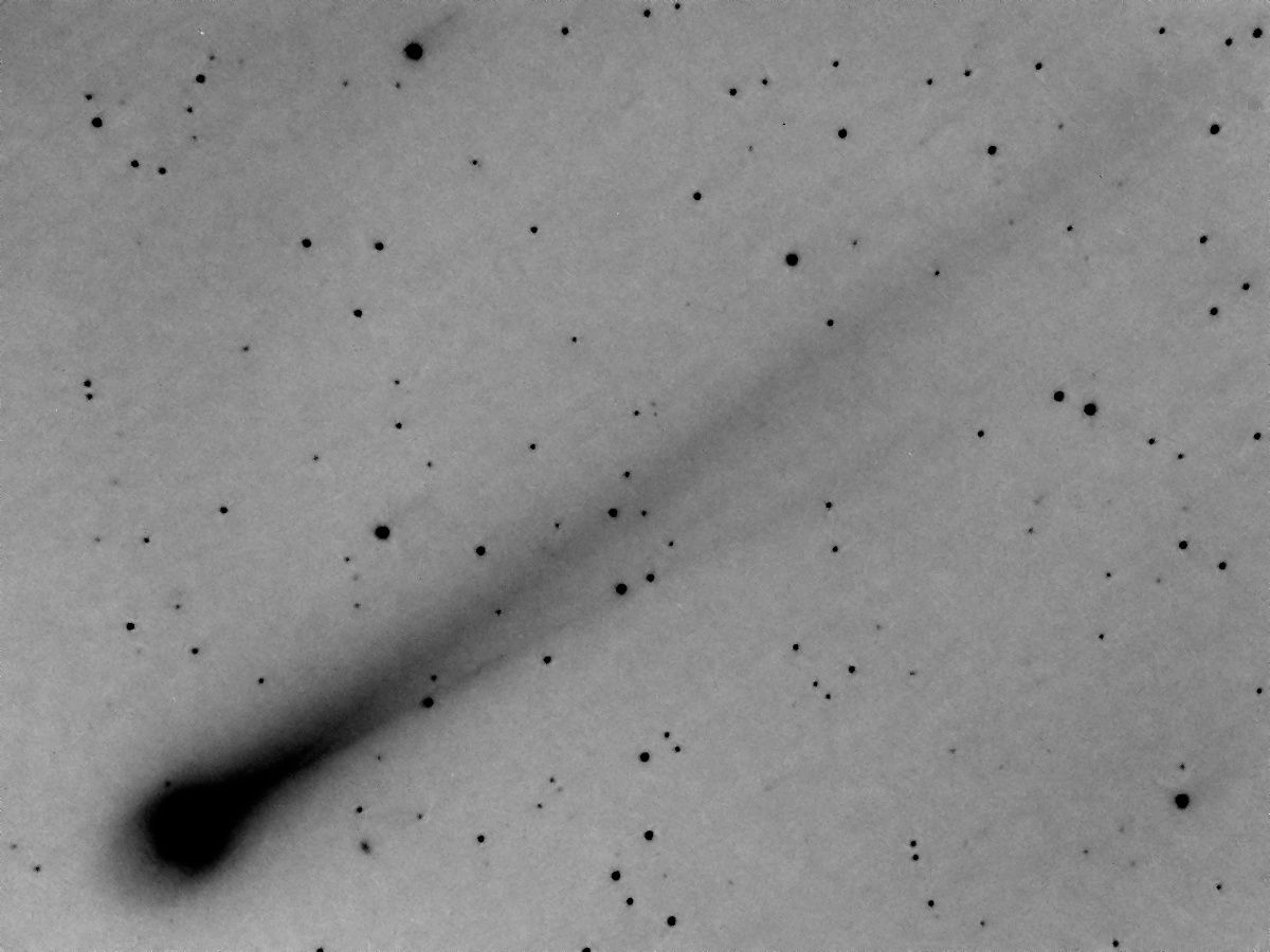 ISON 12.11.13 negativ