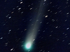 Lovejoy