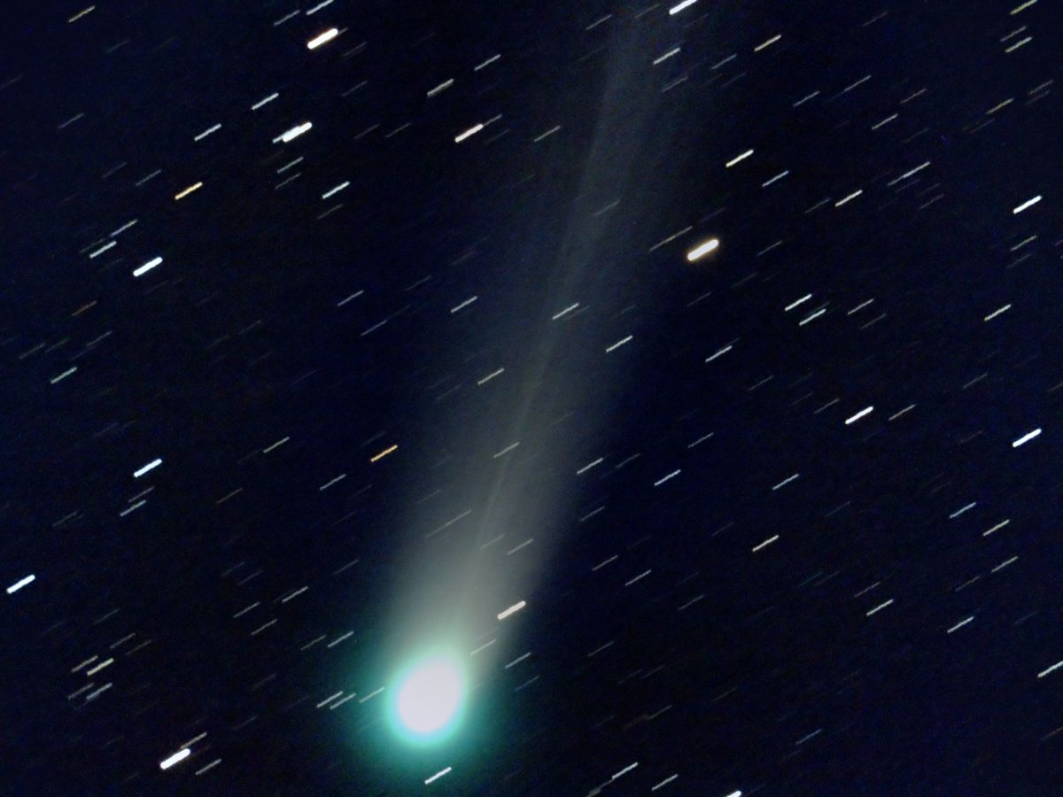 Lovejoy 12.12.13