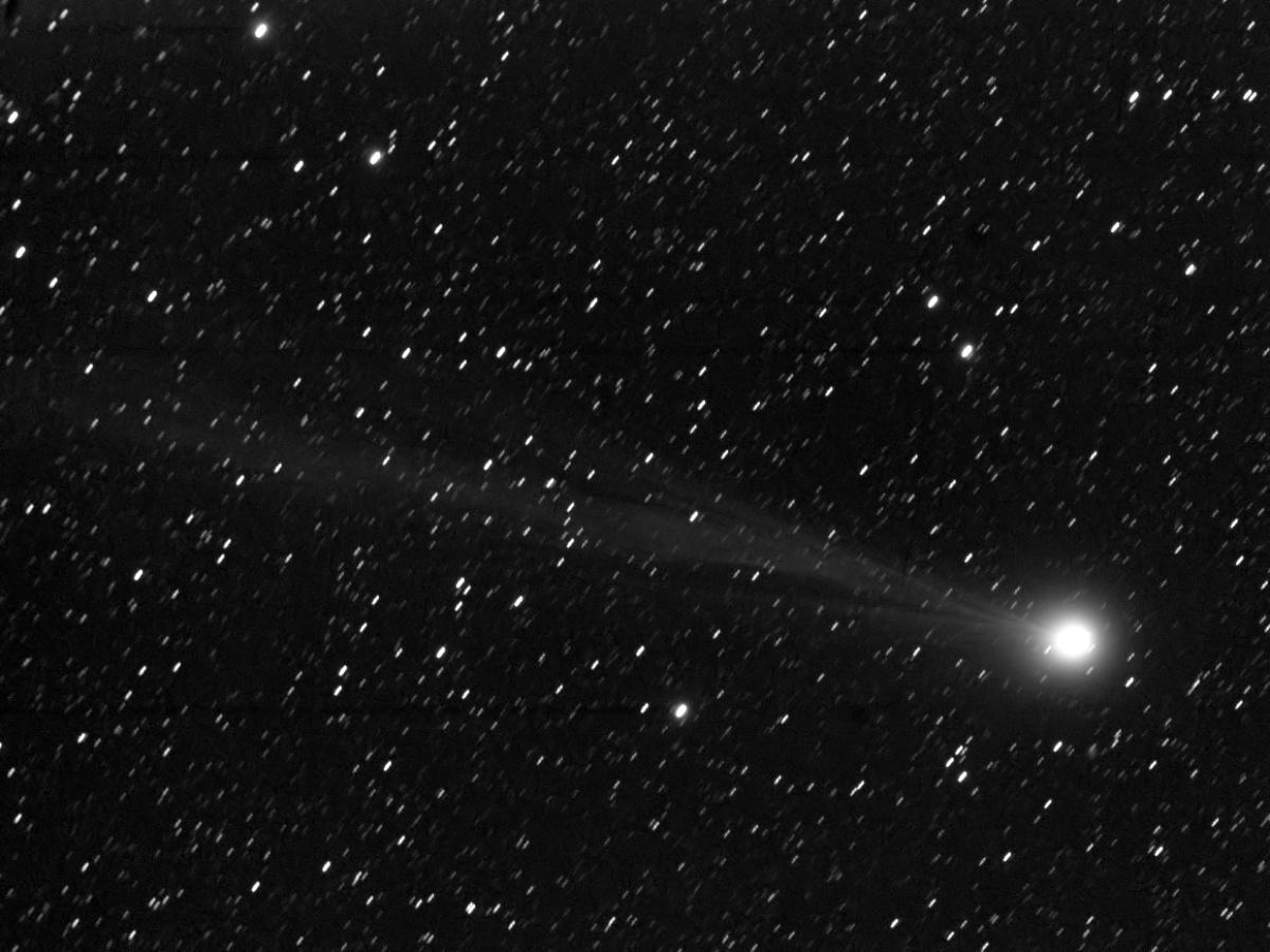 Lovejoy Q2 20.01.15