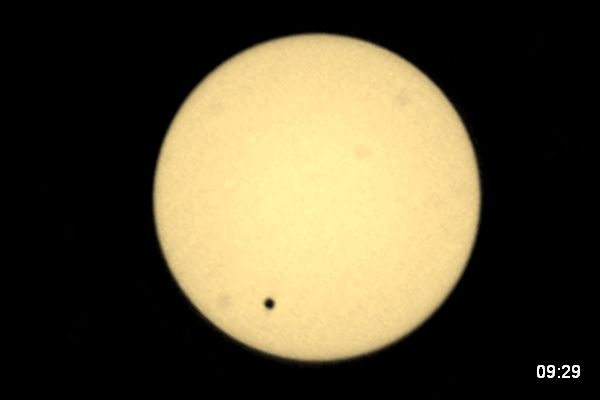Venustransit D