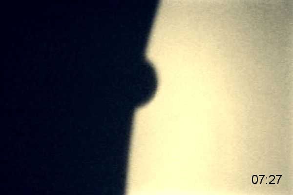 Venustrasit A