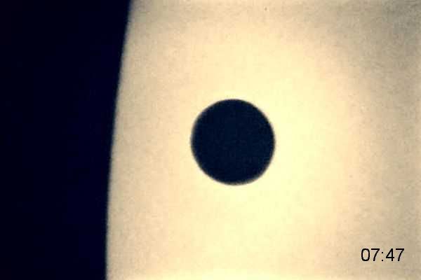 Venustrasit D
