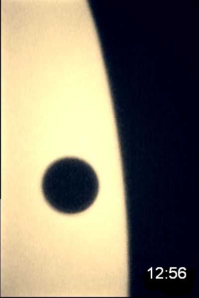 Venustrasit E