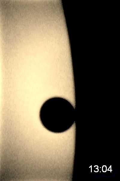 Venustrasit F