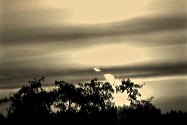 SoFi_03_B