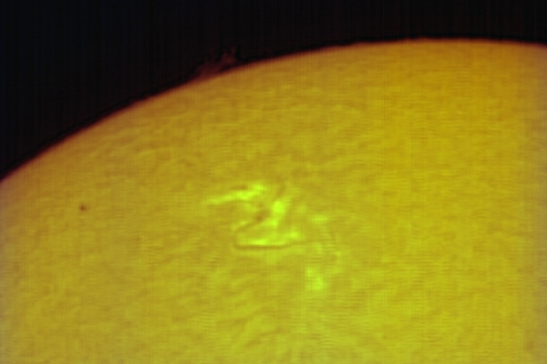 Flare 11.7.10