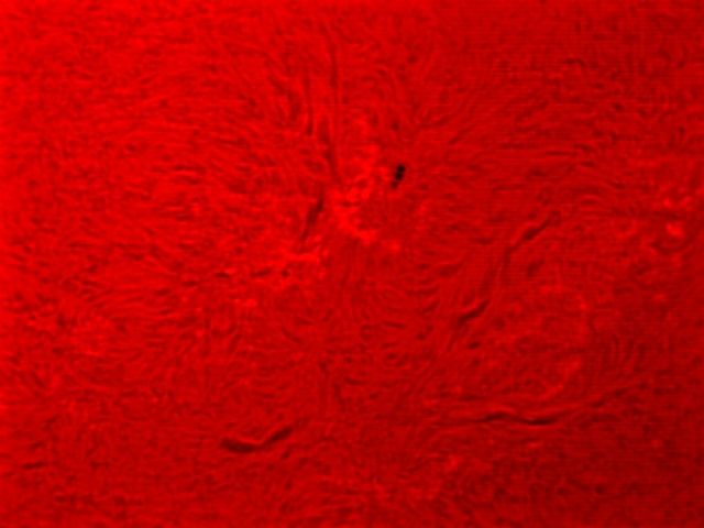 Sonne 2.4.11a