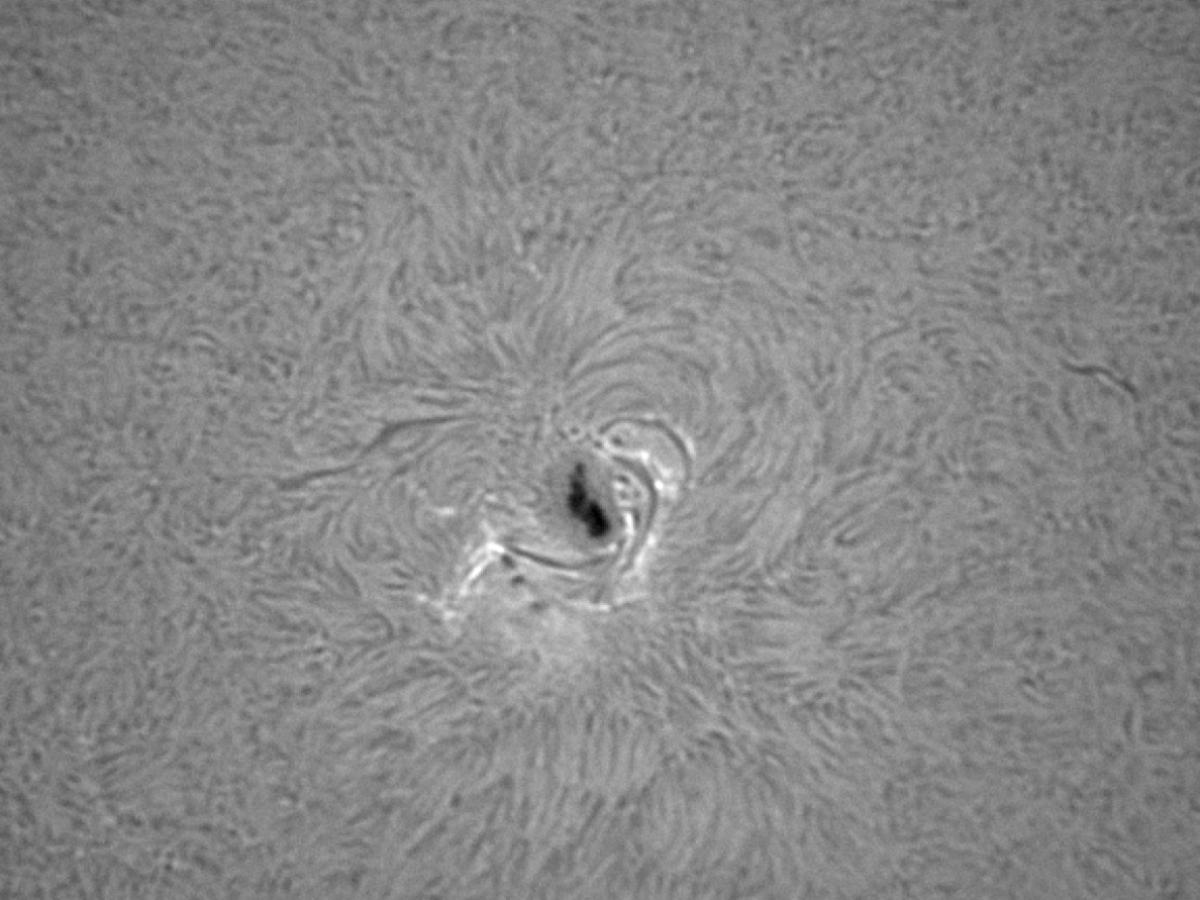 NOAA 10.09.14