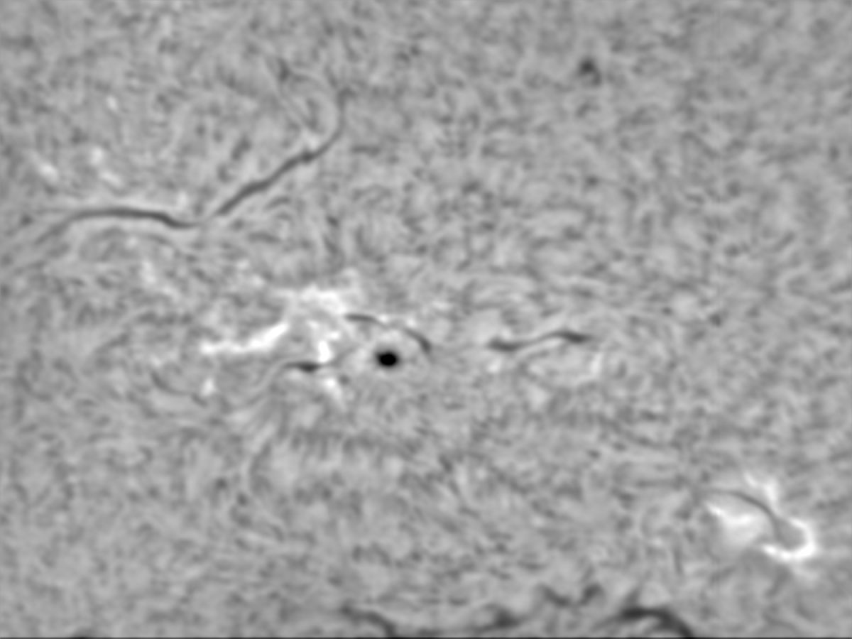 Sonne 26.4.14