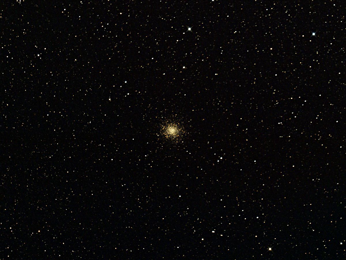 M14 (25.08.16)